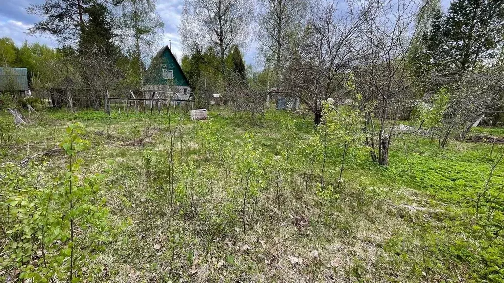 Участок в Псковская область, Псковский район, Карамышевская волость, ... - Фото 2