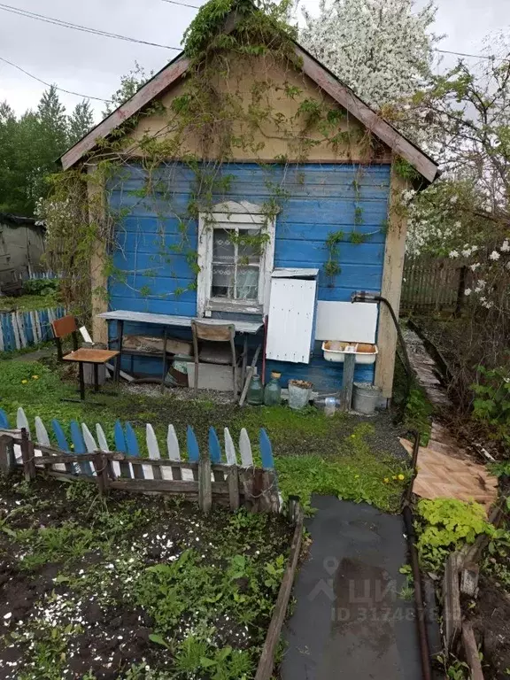 Дом в Омская область, Омск Нефтяник СНТ,  (15 м) - Фото 1