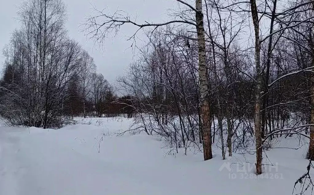 Участок в Московская область, Наро-Фоминский городской округ, пос. ... - Фото 1