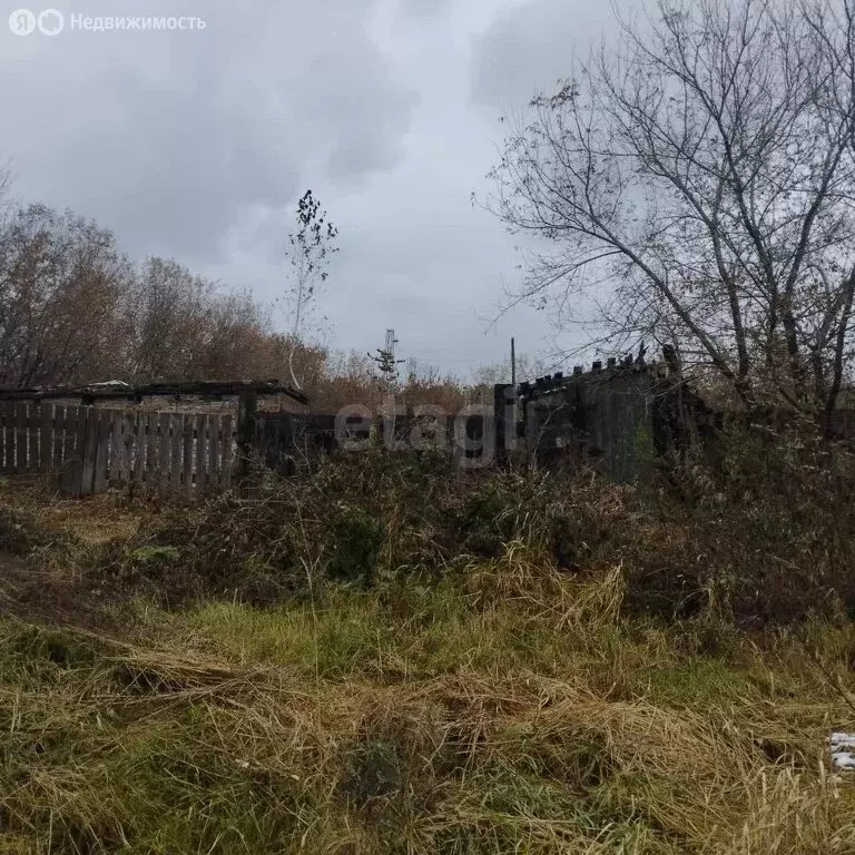 Участок в Новосибирск, Советский район, микрорайон Академгородок, ... - Фото 1