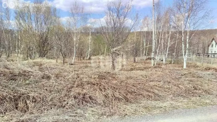 Участок в Приморский край, Анучинский муниципальный округ, село ... - Фото 0