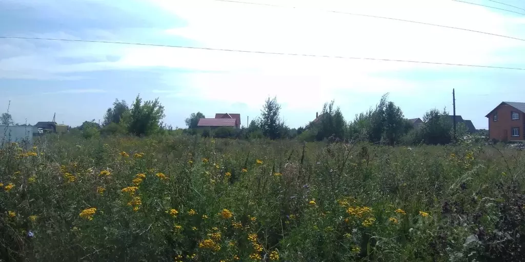 Участок в Рязанская область, Шилово рп ул. Евпатия Коловрата (12.0 ... - Фото 0