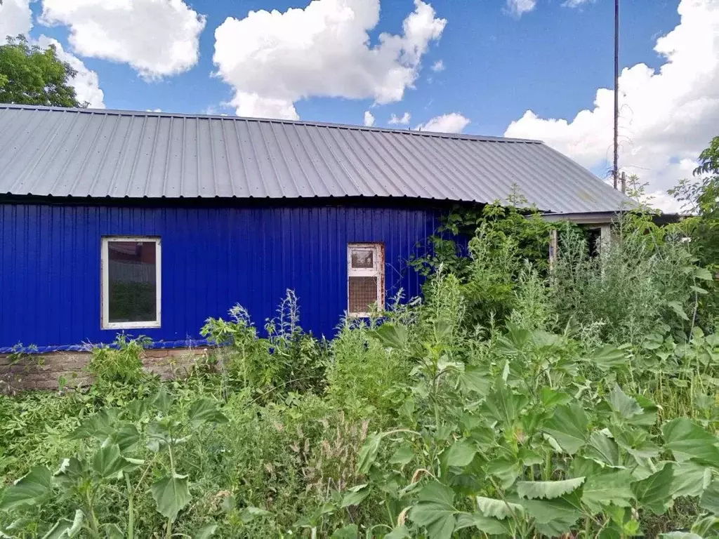 Дом в Оренбургская область, Оренбургский район, с. Нижняя Павловка ул. ... - Фото 0