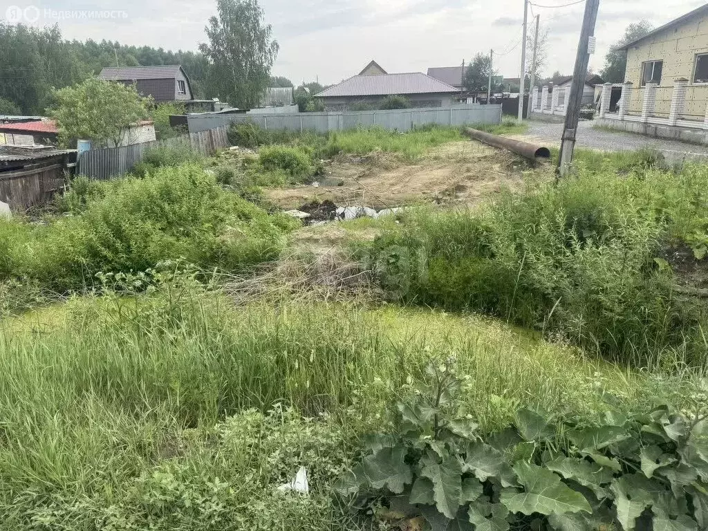 Участок в Тюменский район, СНТ Луговое, Янтарная улица (5.88 м) - Фото 1
