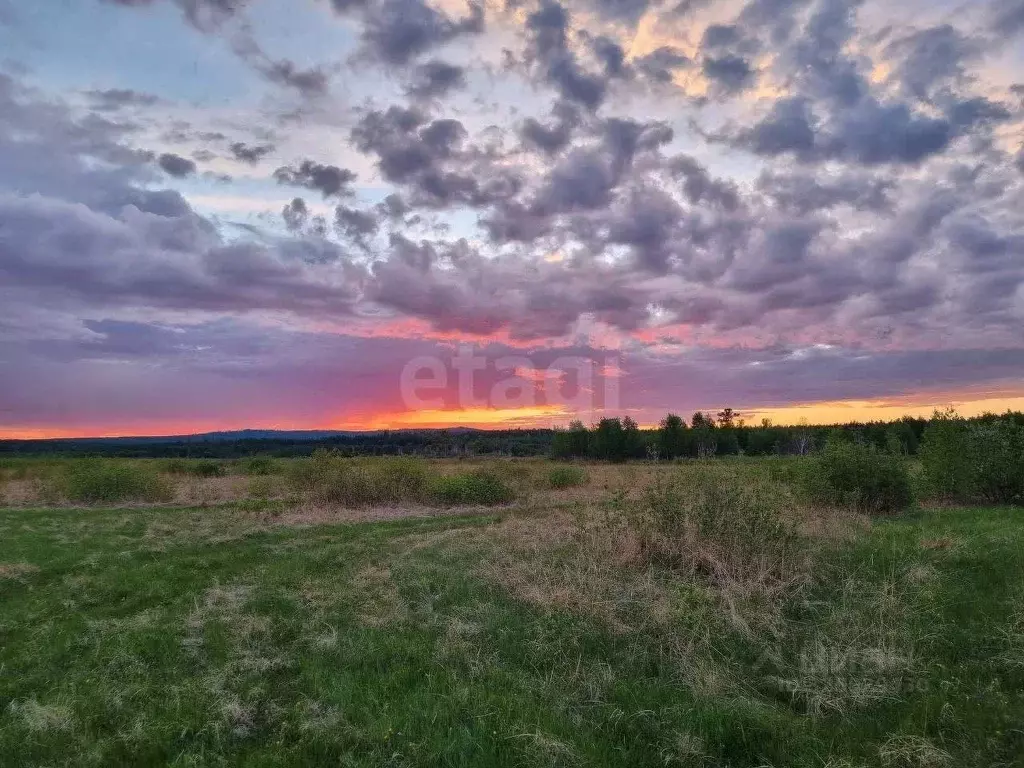 Участок в Забайкальский край, Дульдургинский район, с. Западный Узон  ... - Фото 1