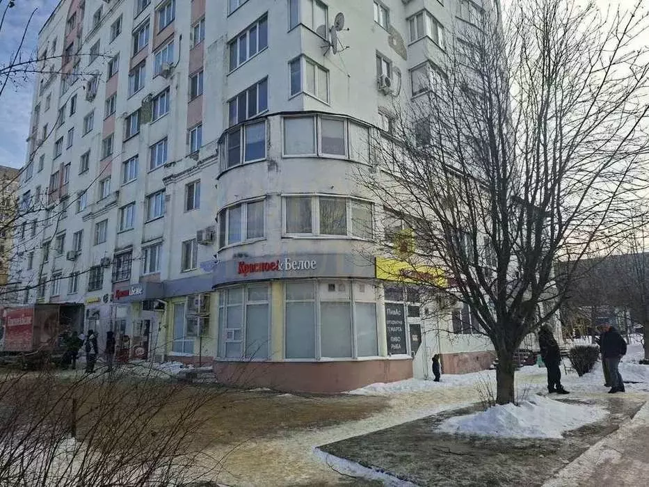 Торговая площадь в Белгородская область, Белгород ул. Челюскинцев, 55а ... - Фото 1