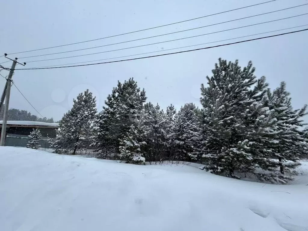 Участок 9 сот. (СНТ, ДНП) - Фото 0