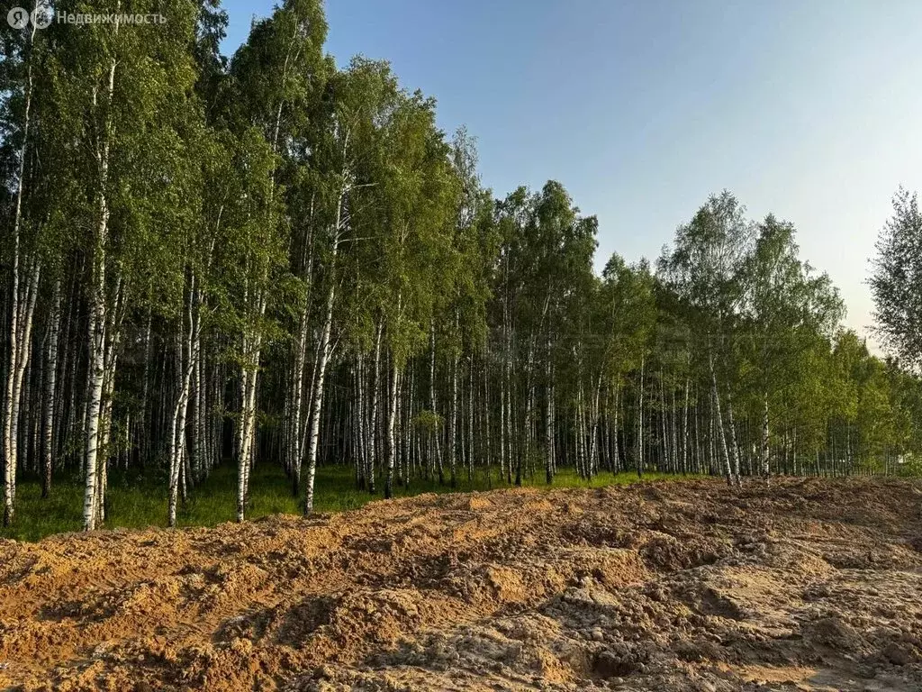 Участок в Казань, улица Амет-Хана Султана, 1 (100 м) - Фото 0