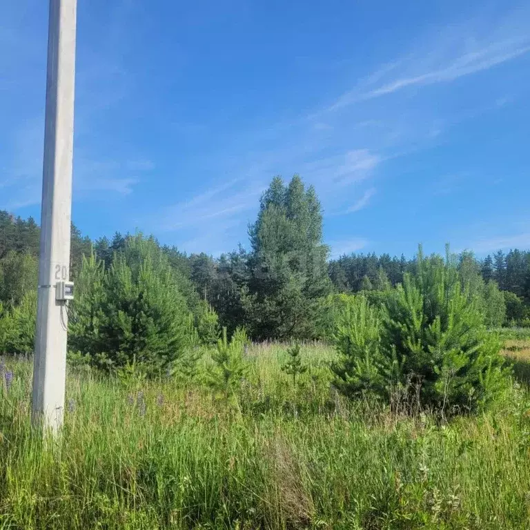 Участок в Владимирская область, Муром с. Лазарево, ул. 75 лет Победы ... - Фото 2