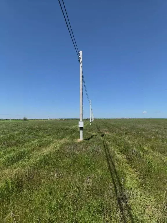 Участок в Крым, Ленинский район, Челядиновское с/пос, с. Челядиново ... - Фото 1