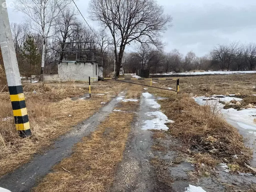 Участок в село Чигири, Барбарисовая улица (38 м) - Фото 0