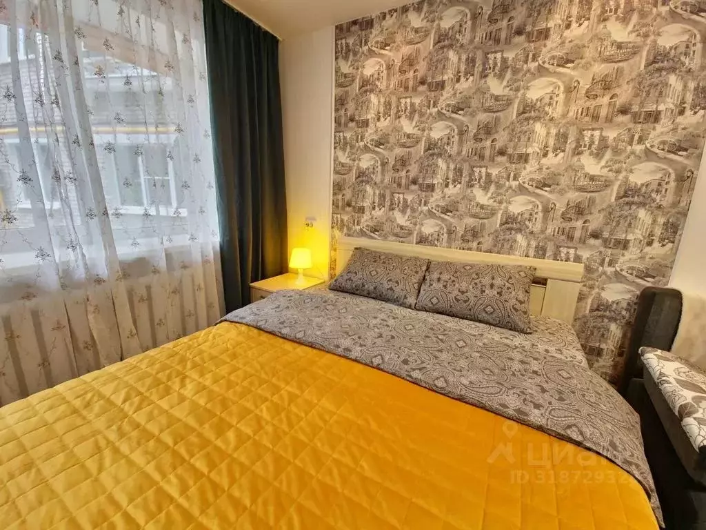 1-к кв. Псковская область, Псков Профсоюзная ул., 1 (28.0 м) - Фото 1