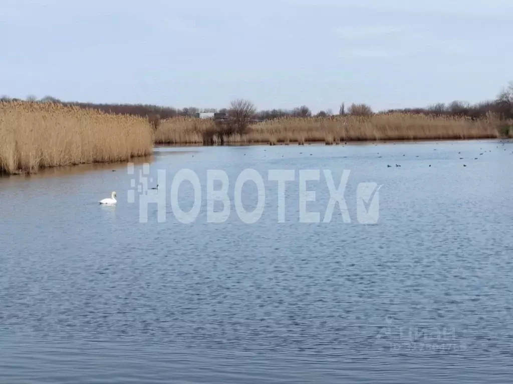 Дом в Краснодарский край, Гулькевичский район, Скобелевская ст-ца ... - Фото 1