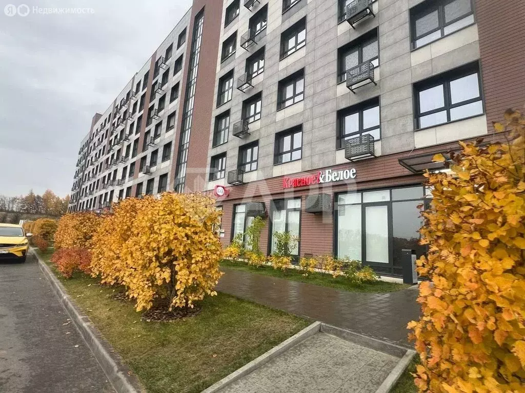 Торговая площадь (87.2 м) - Фото 1