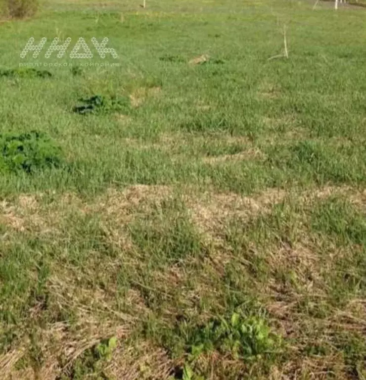 Участок в Нижегородская область, Богородский муниципальный округ, д. ... - Фото 2