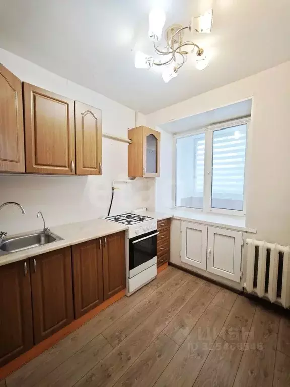 1-к кв. Пермский край, Пермь ул. Челюскинцев, 15 (32.2 м) - Фото 2