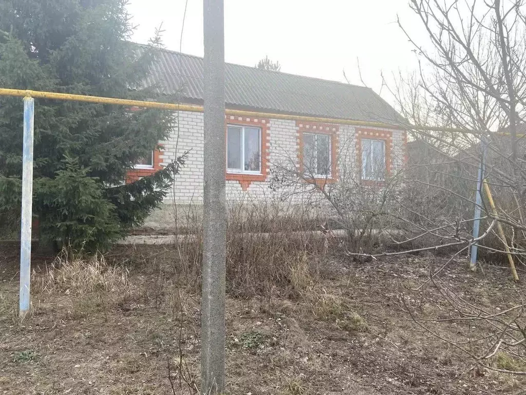 Дом в Белгородская область, Корочанский район, Шляховское с/пос, с. ... - Фото 1