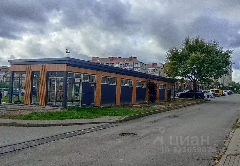 Торговая площадь в Калининградская область, Светлогорск Яблоневая ул., ... - Фото 1