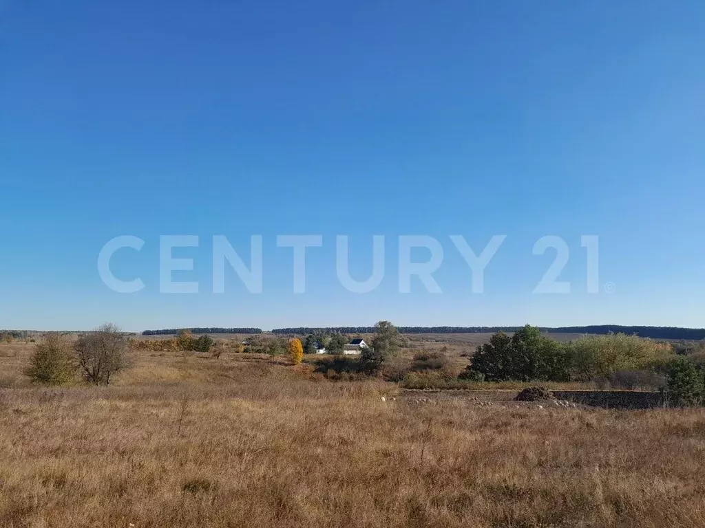 Участок в Липецкая область, Липецкий муниципальный округ ул. ... - Фото 1