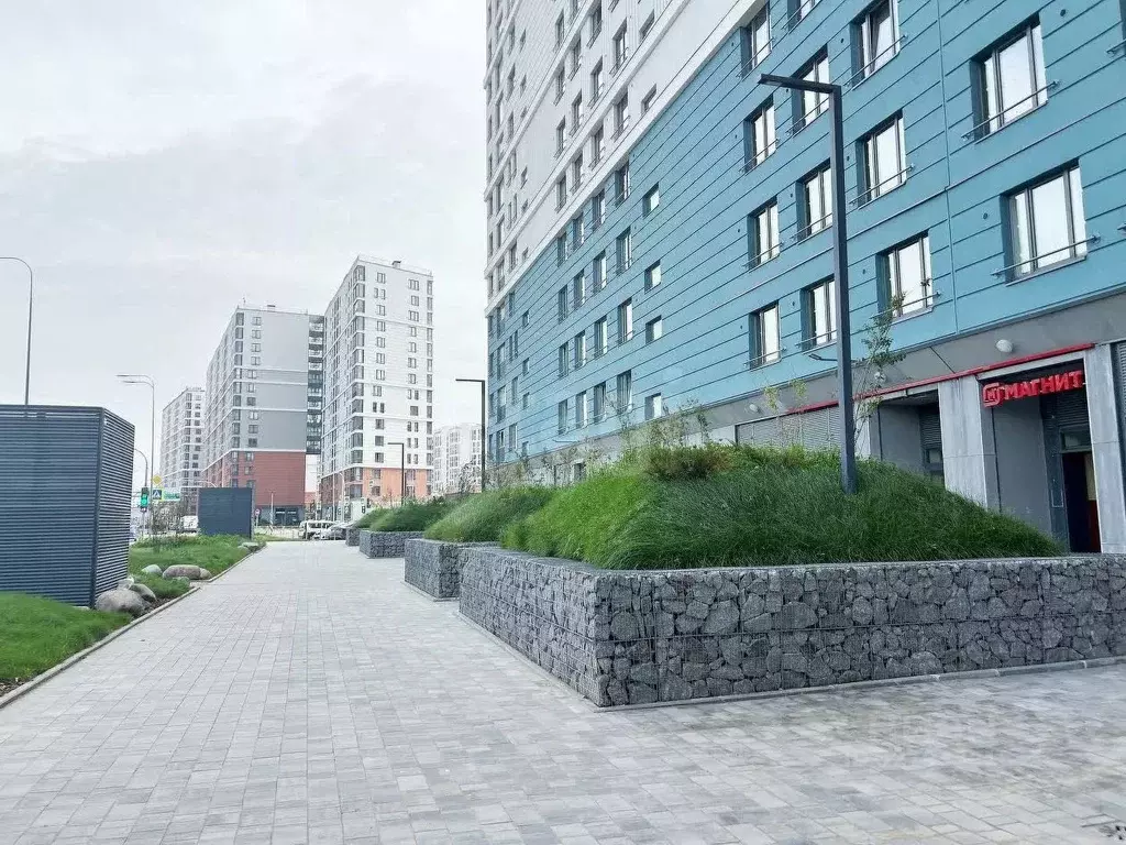 Студия Санкт-Петербург просп. Крузенштерна, 4 (20.4 м) - Фото 1