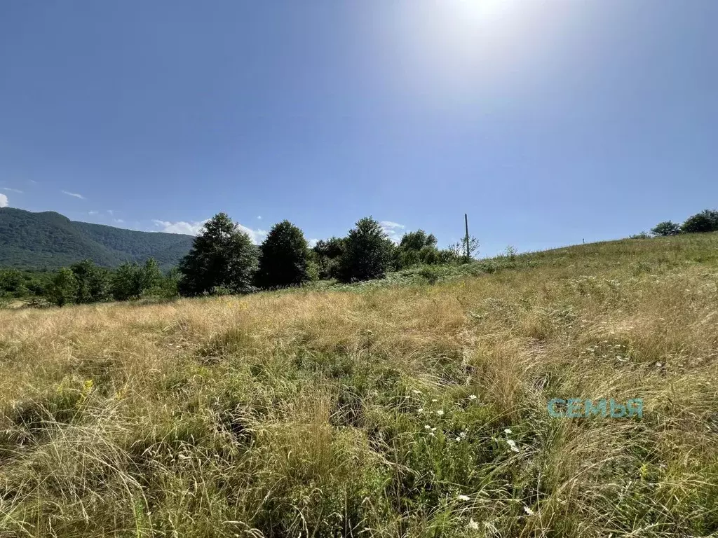 Участок в Северная Осетия, Владикавказ Иристон СТ, ул. Тибская (4.88 ... - Фото 1