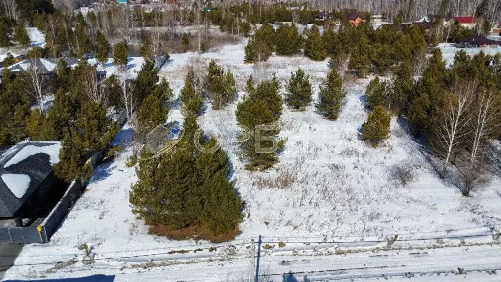 Участок в Тюменская область, Тюмень СОСН Березка-3 тер., ул. 15-я (6.0 ... - Фото 1