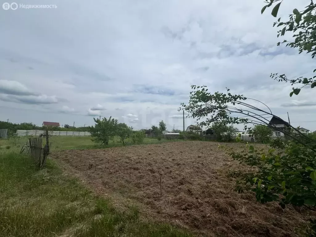 Участок в посёлок Новые Дарковичи, СДТ Болва (6 м) - Фото 1
