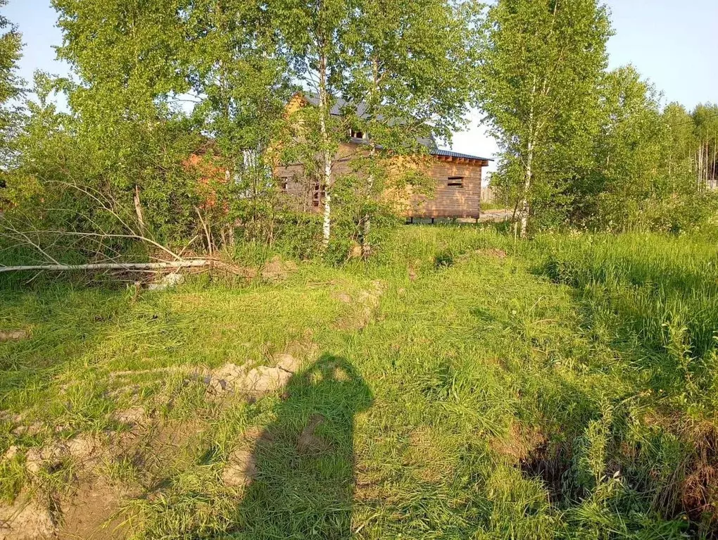 Участок в Томская область, Томский район, д. Новомихайловка ... - Фото 0