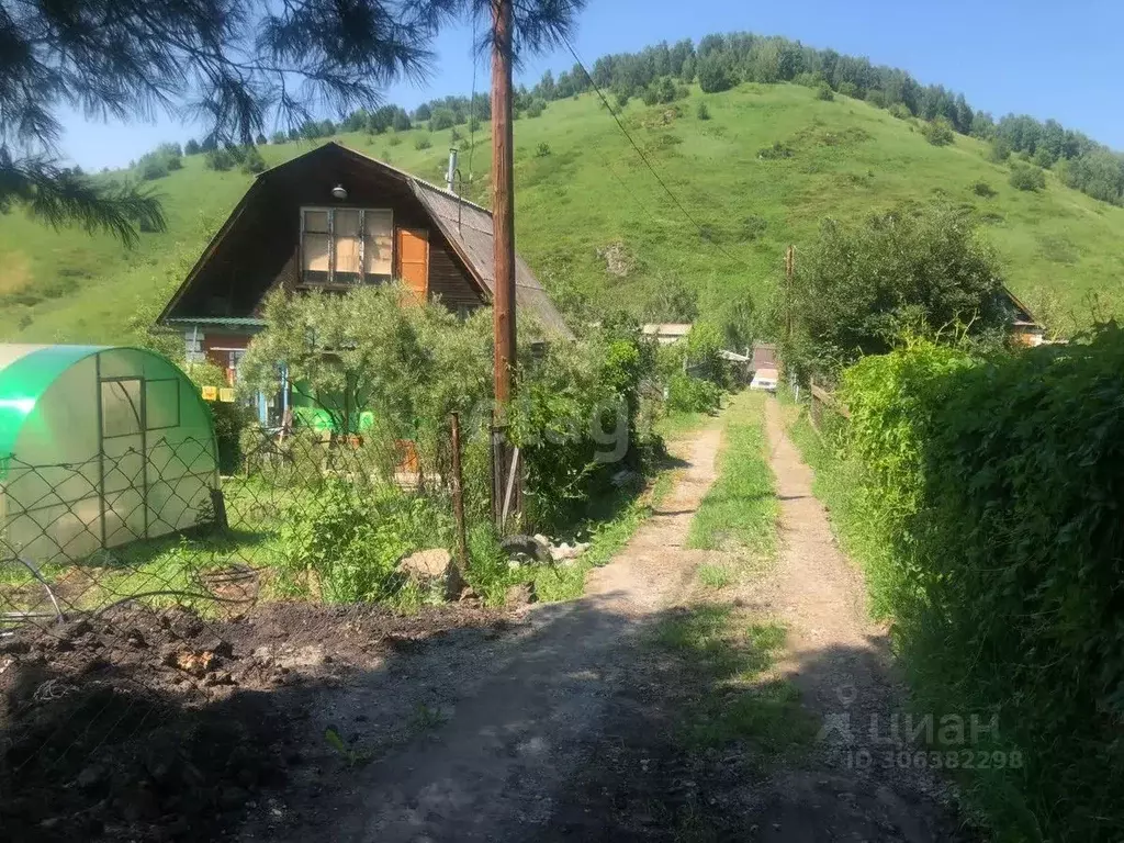 Участок в Алтай, Горно-Алтайск Динамо СНТ,  (4.5 сот.) - Фото 1