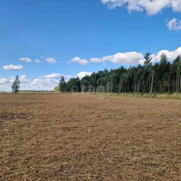 Участок в Забайкальский край, Читинский район, с. Арахлей ул. 2-я ... - Фото 1