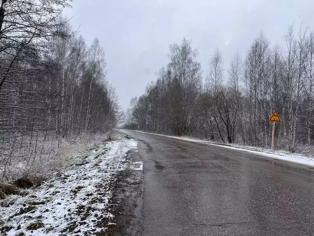 Участок в Шиловский район, М-5 Урал, 294-й километр (1.65 м) - Фото 1