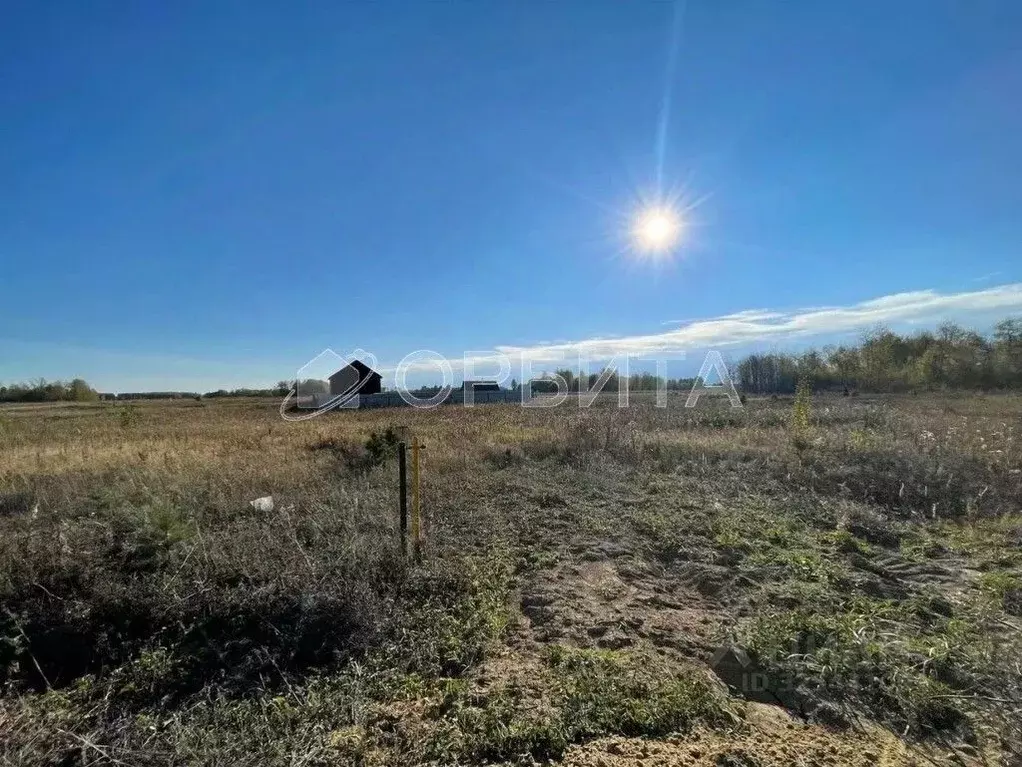 Участок в Тюменская область, Тюменский муниципальный округ, Онегин кп  ... - Фото 1