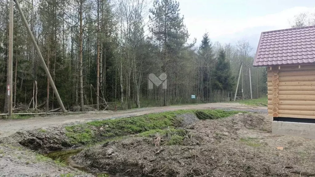 Участок в Ленинградская область, Приозерский район, Ларионовское ... - Фото 1