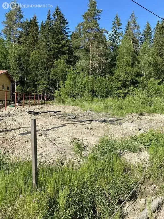 Участок в Выборгский район, Рощинское городское поселение, посёлок ... - Фото 2
