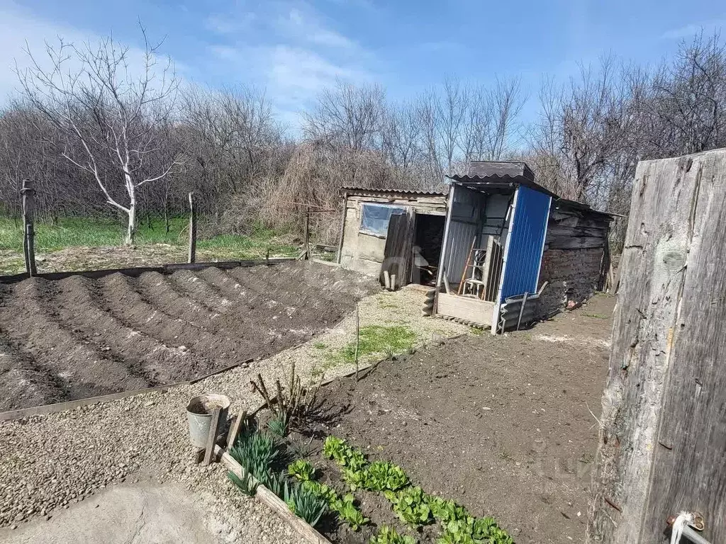 Дом в Адыгея, Гиагинский район, Келермесское с/пос, Келермесская ст-ца ... - Фото 1