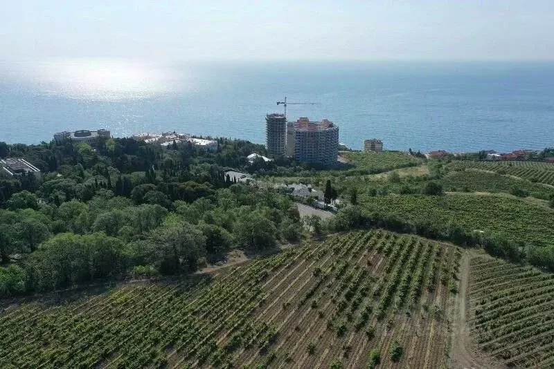 Дом в Крым, Ялта муниципальный округ, Ливадия пгт ул. Виноградная, 46 ... - Фото 1