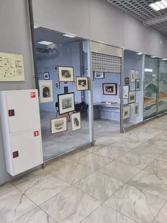 Помещение свободного назначения в Ленинградская область, Тельмана ... - Фото 1