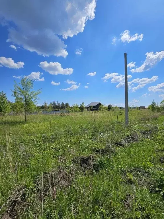 Участок в Ульяновская область, Ульяновский район, Ишеевское городское ... - Фото 1