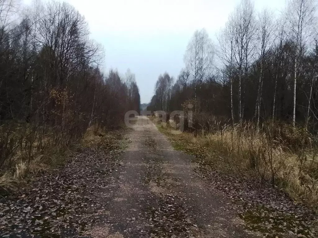 Участок в Калужская область, Город Калуга городской округ, д. Заречье  ... - Фото 2