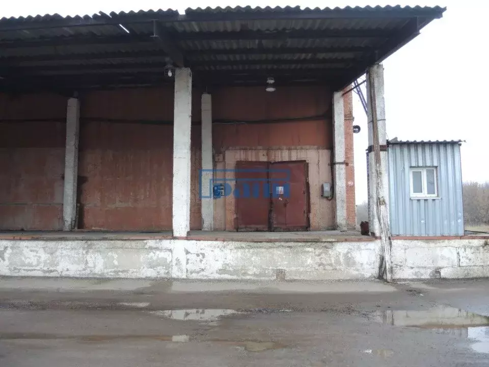 Склад (271.5 м) - Фото 2