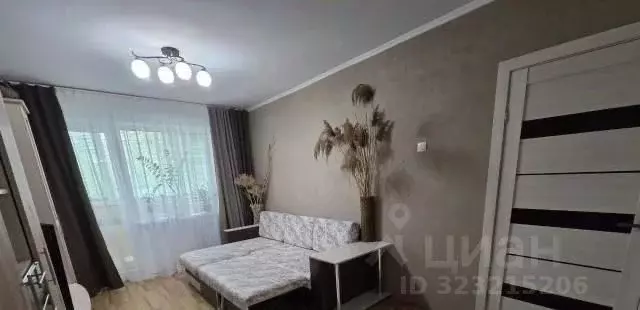 1-к кв. Приморский край, Уссурийск ул. Сергея Ушакова, 10 (34.0 м) - Фото 1