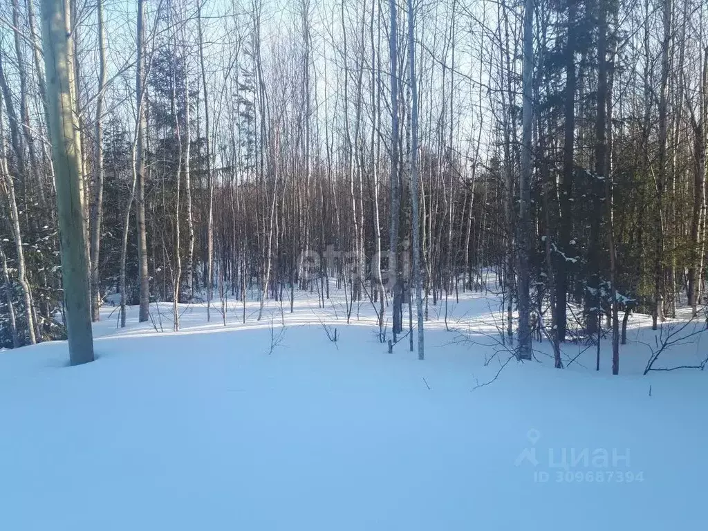 Участок в Ханты-Мансийский АО, Ханты-Мансийск Учитель-3 СОТ,  (8.6 ... - Фото 1