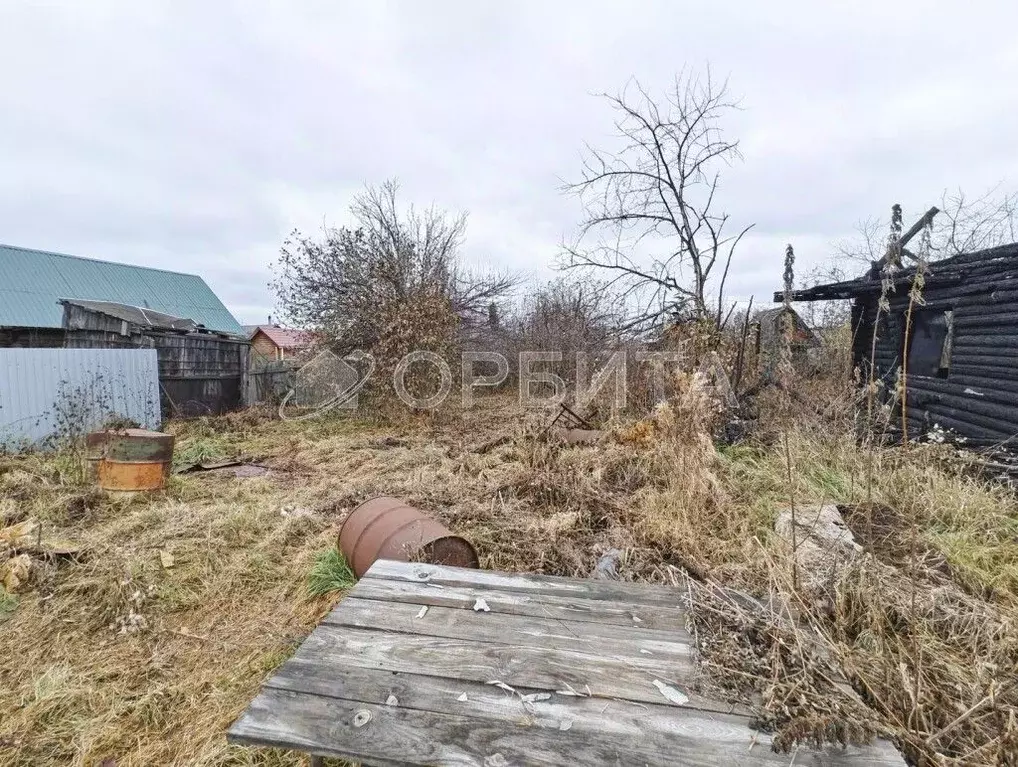 Участок в Тюменская область, Тюмень Плодовое СНТ, 133 (5.0 сот.) - Фото 1