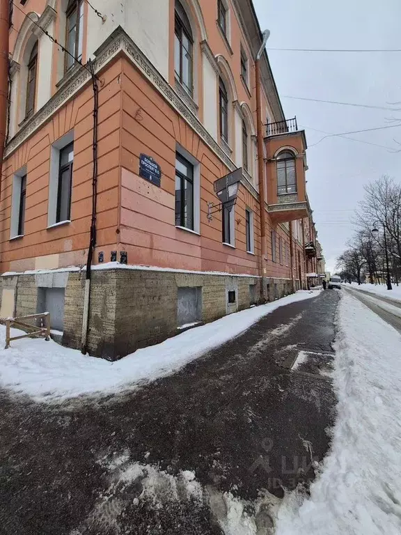 Помещение свободного назначения в Санкт-Петербург просп. Большой ... - Фото 1