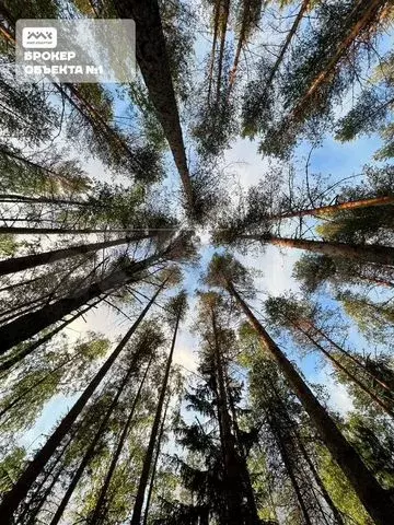 Участок 19 сот. (ИЖС) - Фото 0
