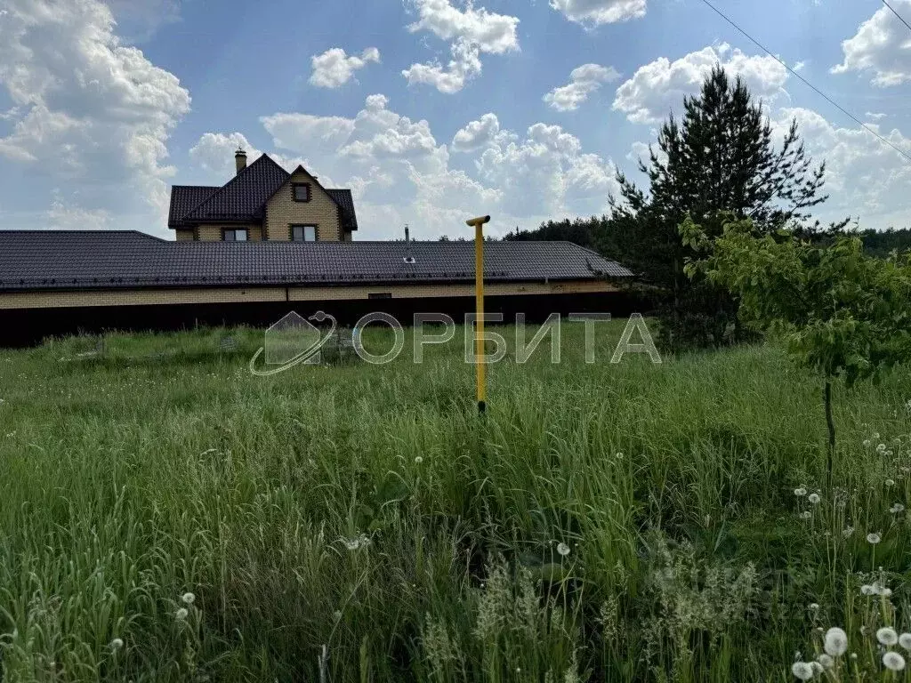 Участок в Тюменская область, Тюменский муниципальный округ, с. ... - Фото 0