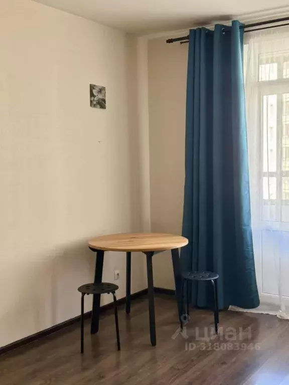 Студия Санкт-Петербург просп. Ветеранов, 171к2 (24.4 м) - Фото 1