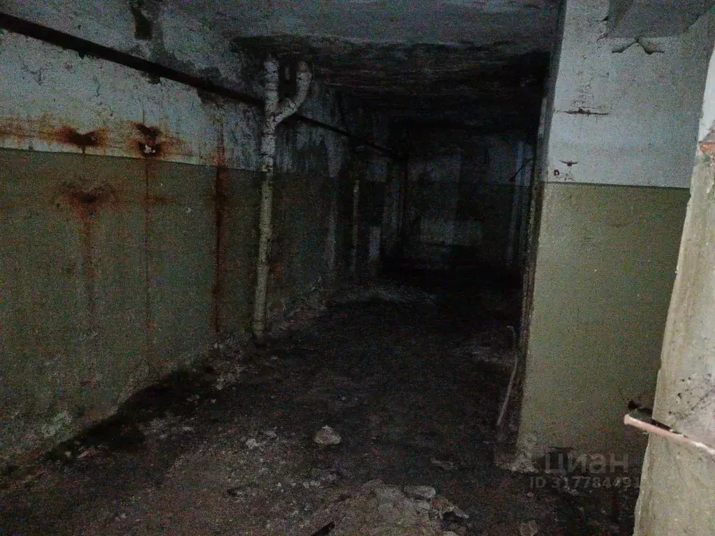 Помещение свободного назначения в Волгоградская область, Волгоград ул. ... - Фото 0