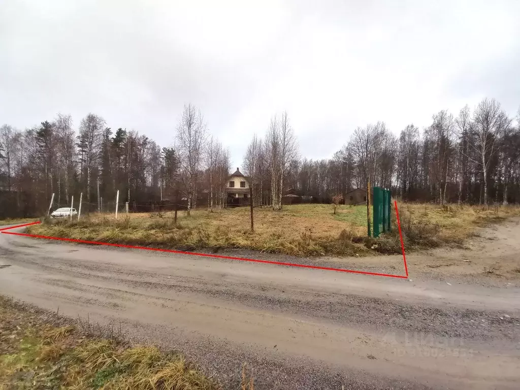 Участок в Ленинградская область, Приозерский район, Раздольевское ... - Фото 1