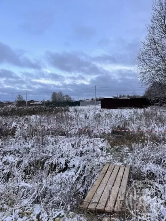 Участок в Ленинградская область, Кингисеппский район, Большелуцкое ... - Фото 2